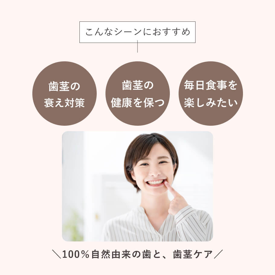 歯茎の衰え対策 健やかな歯茎を守りたい方へ 無添加 オーガニック ガムコラーゲン歯磨き粉