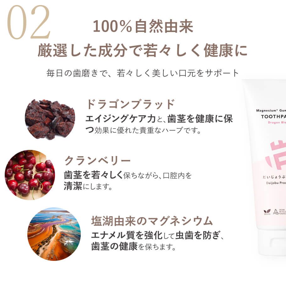 ドラゴンブラッド クランベリー マグネシウム配合 天然由来成分で歯茎を健やかに保つ 無添加オーガニック歯磨き粉