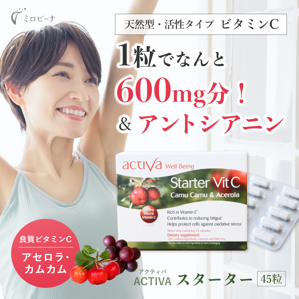 スターター メイン画像