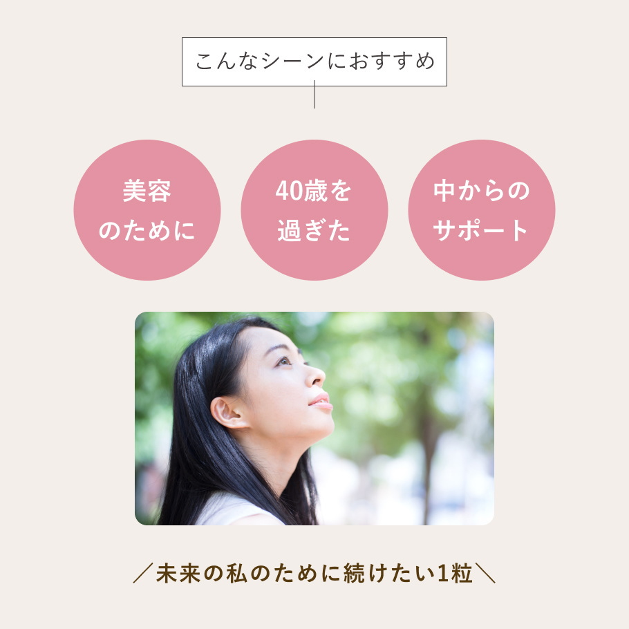 ご使用のシーン