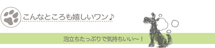 泡立ちたっぷり、気持ちいい～