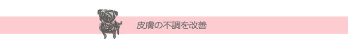 皮膚の不調を改善