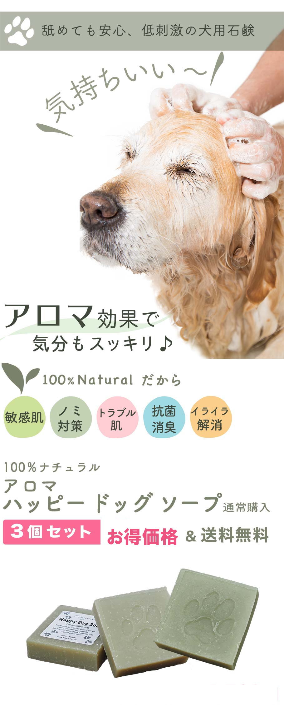 ハッピードッグソープ メイン画像