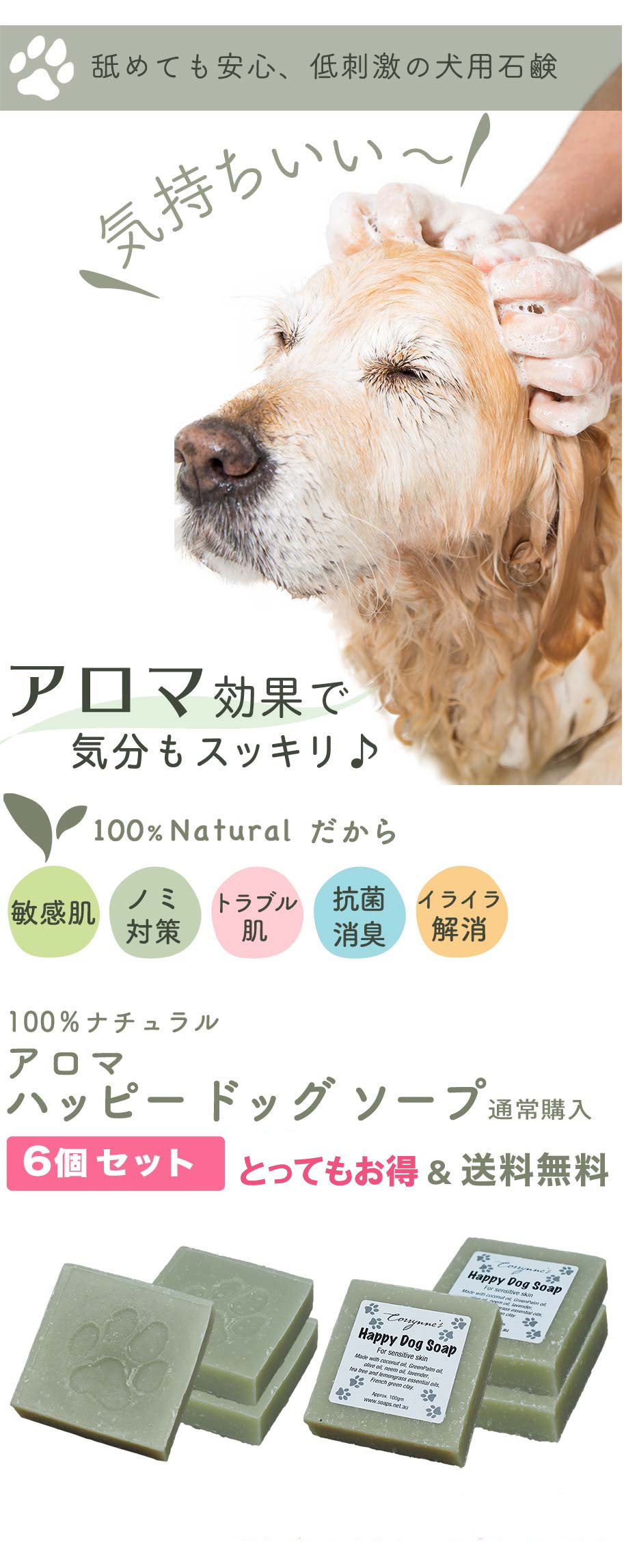ハッピードッグソープ メイン画像
