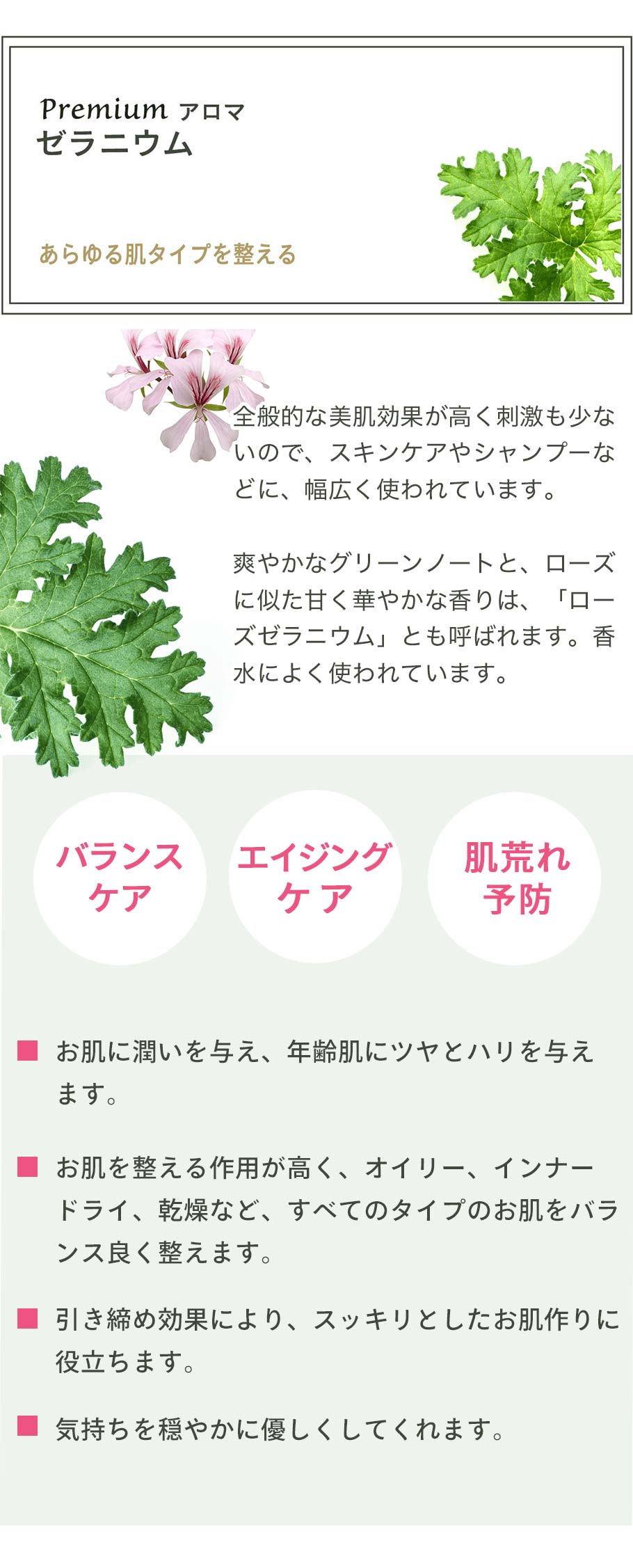 ローズゼラニウムエッセンシャルオイル