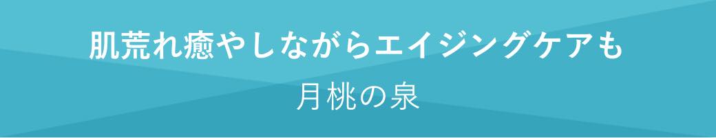 小見出し 肌荒れ癒やしながらエイジングケアも