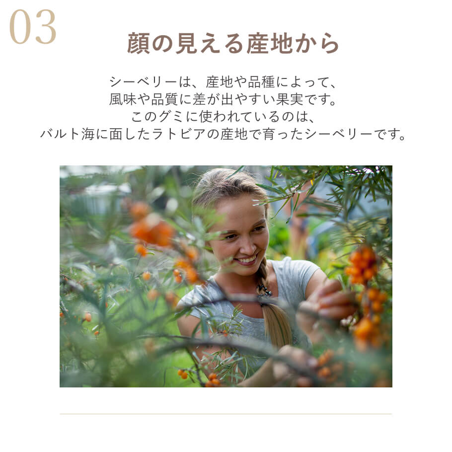 ラトビア産シーベリー使用 産地にこだわった無添加はちみつグミ