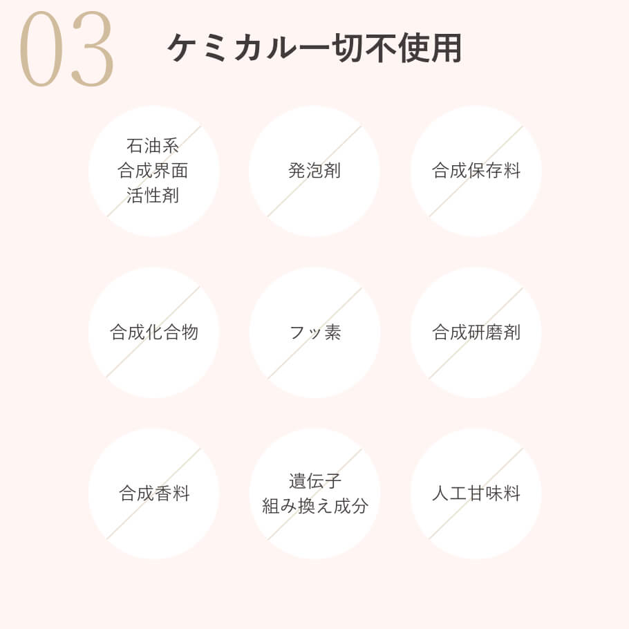 フッ素不使用 無添加 歯磨き粉 合成保存料 合成研磨剤 合成香料 不使用 安心のオーガニックデンタルケア