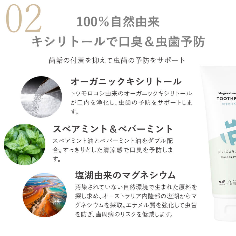 デイリートゥースペースト 爽やかなハーブの香りで口臭ケア ナチュラル成分の歯磨き粉