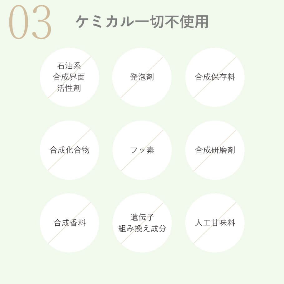 デイリートゥースペースト マグネシウム配合 毎日の口内環境をすっきり整える無添加歯磨き