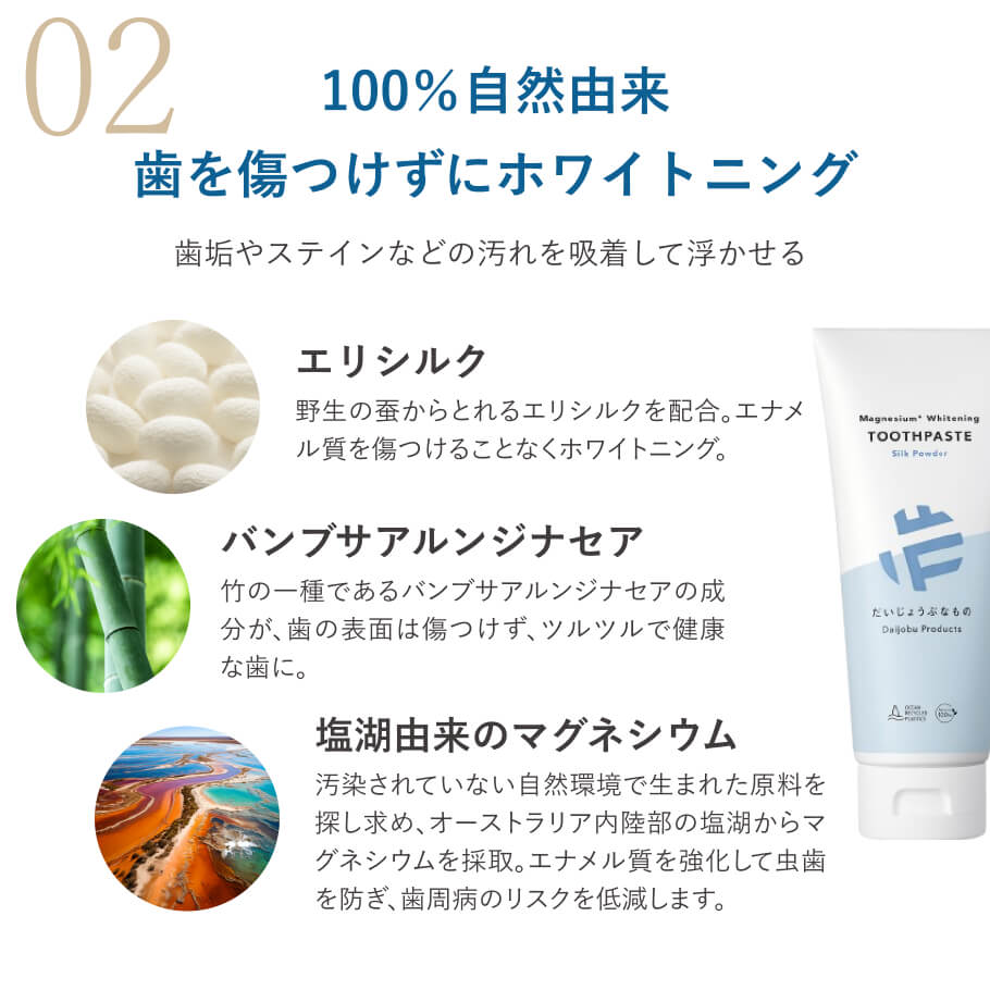エリシルクとマグネシウム配合 100％自然由来成分 無添加 オーガニック ホワイトニング歯磨き粉