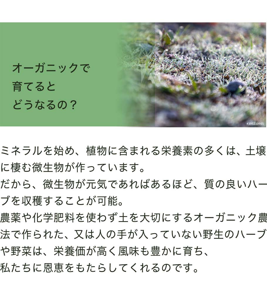オーガニックとは