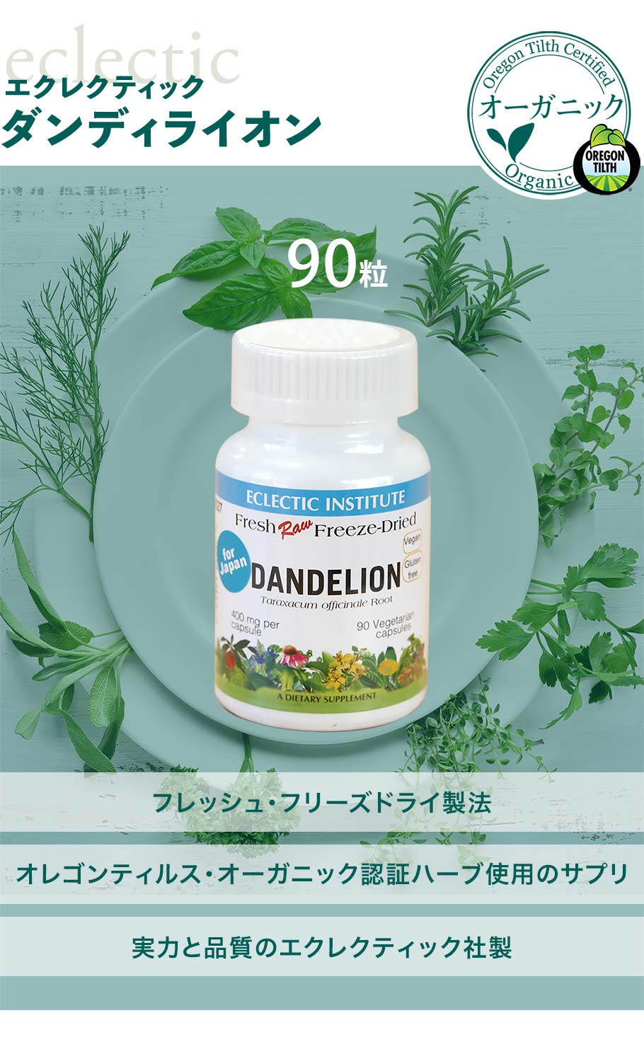 ダンディライオンメイン画像