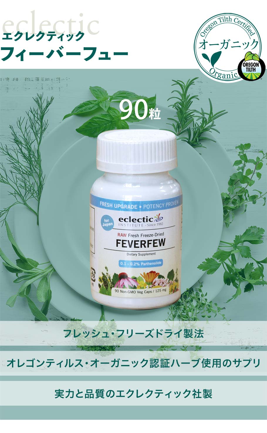 フィーヴァーフューメイン画像