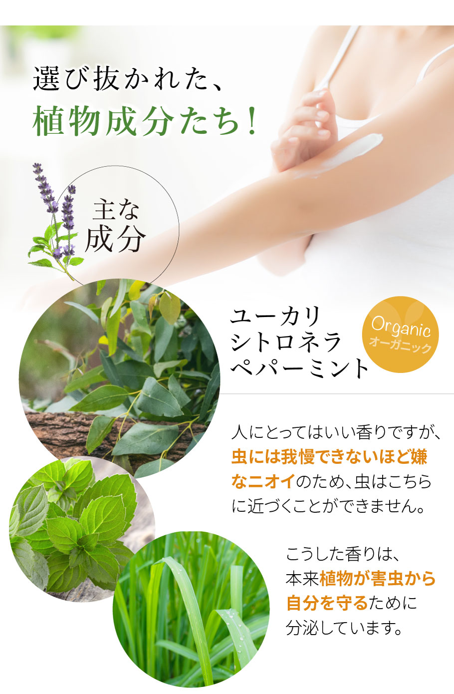 選び抜かれた植物成分