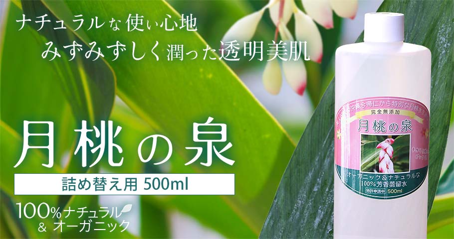 月桃の泉500ml メイン画像
