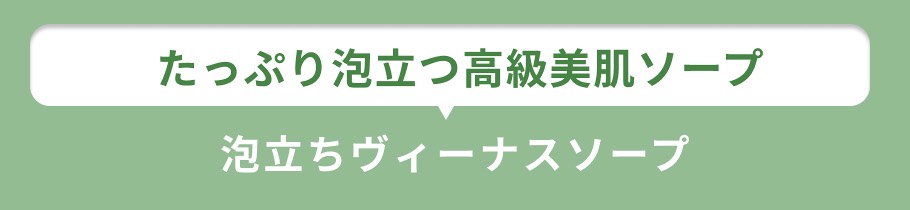 見出し ヴィーナスソープ
