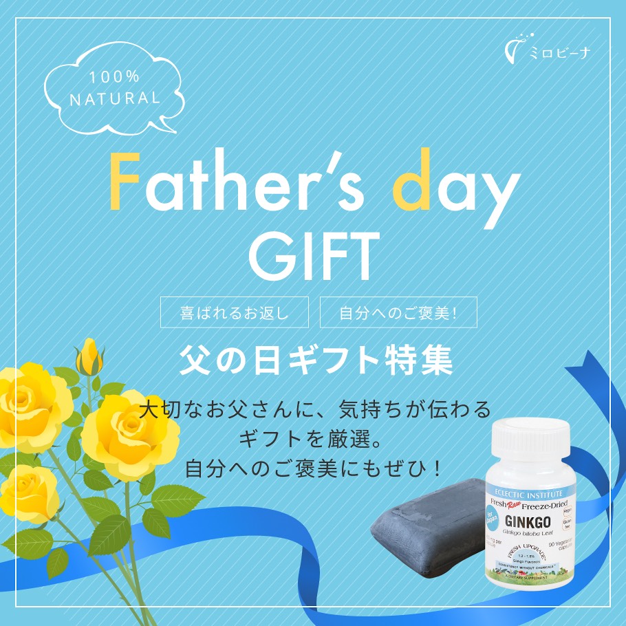 父の日プレゼントメイン