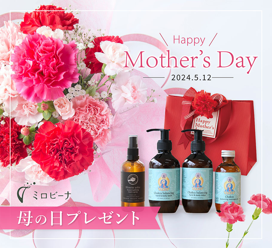母の日プレゼントメイン