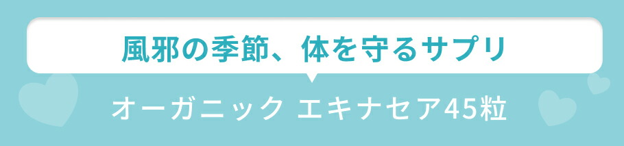 見出し エキナセア