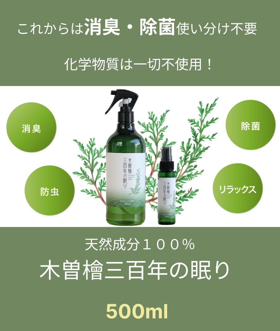 木曽檜300年の眠りメイン画像