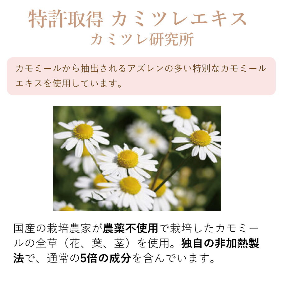 アズレンの多いカミツレ