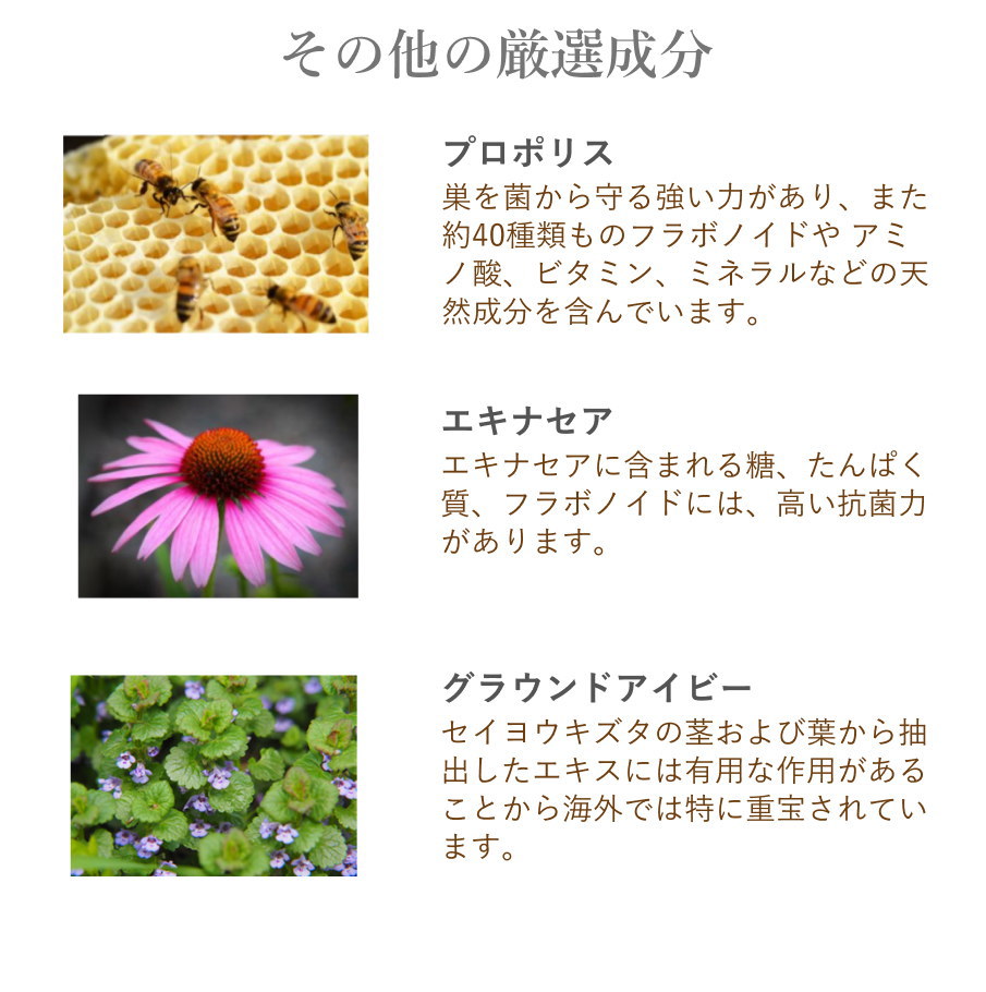 エキナセア、プロポリス、グラウンドアイビー