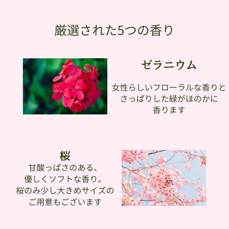 成分