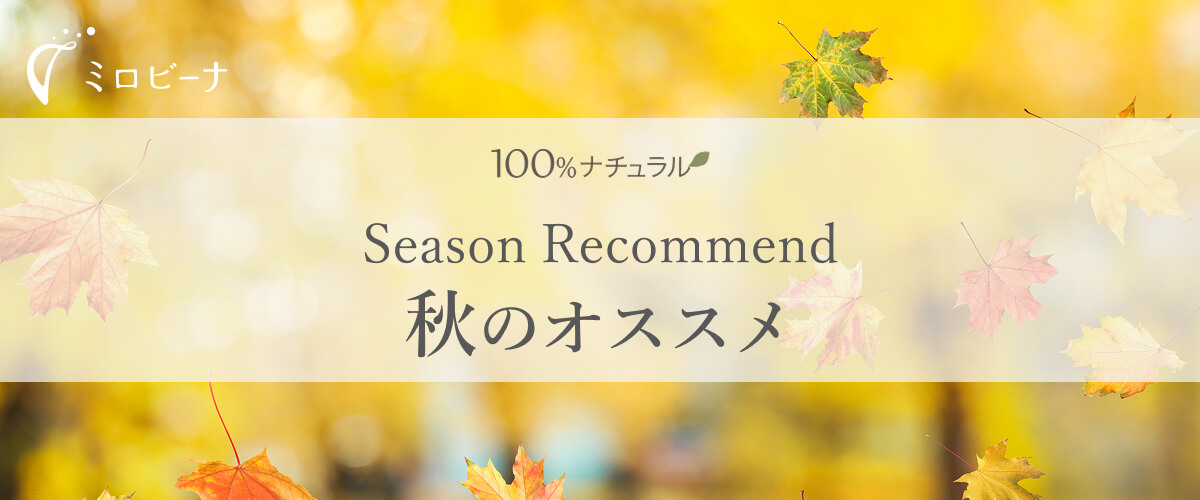 秋のオススメ