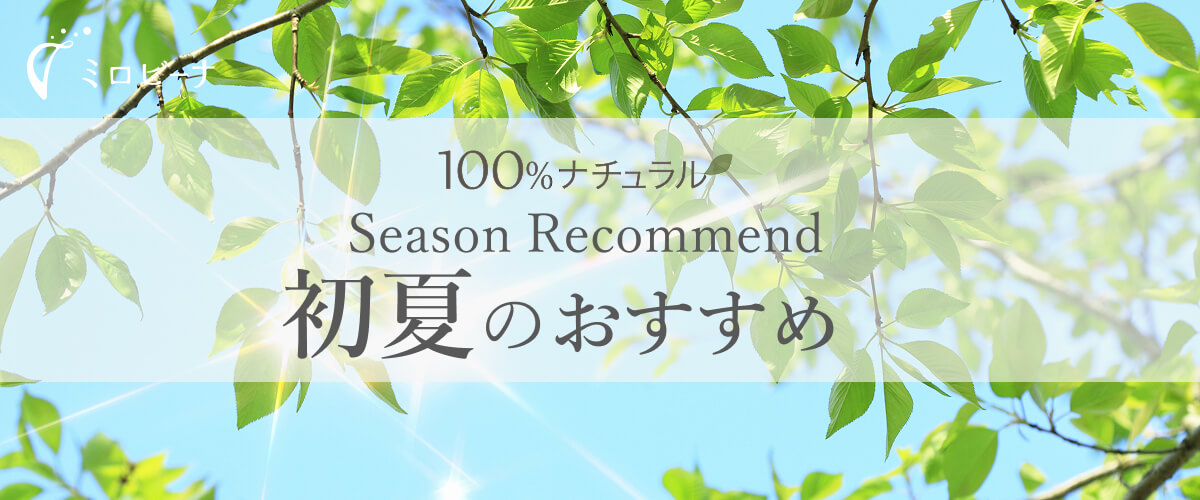 初夏のおススメ
