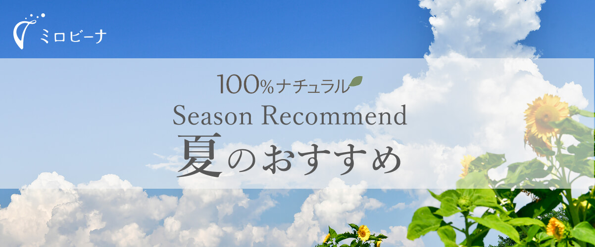 夏のおススメ