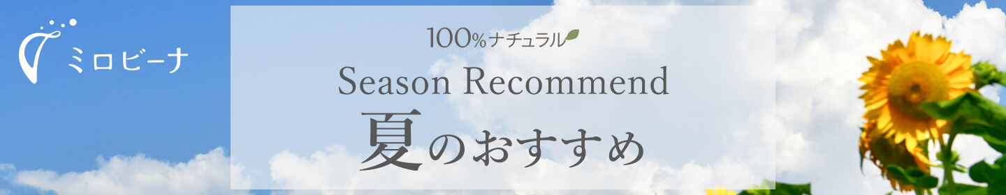 夏のおすすめ