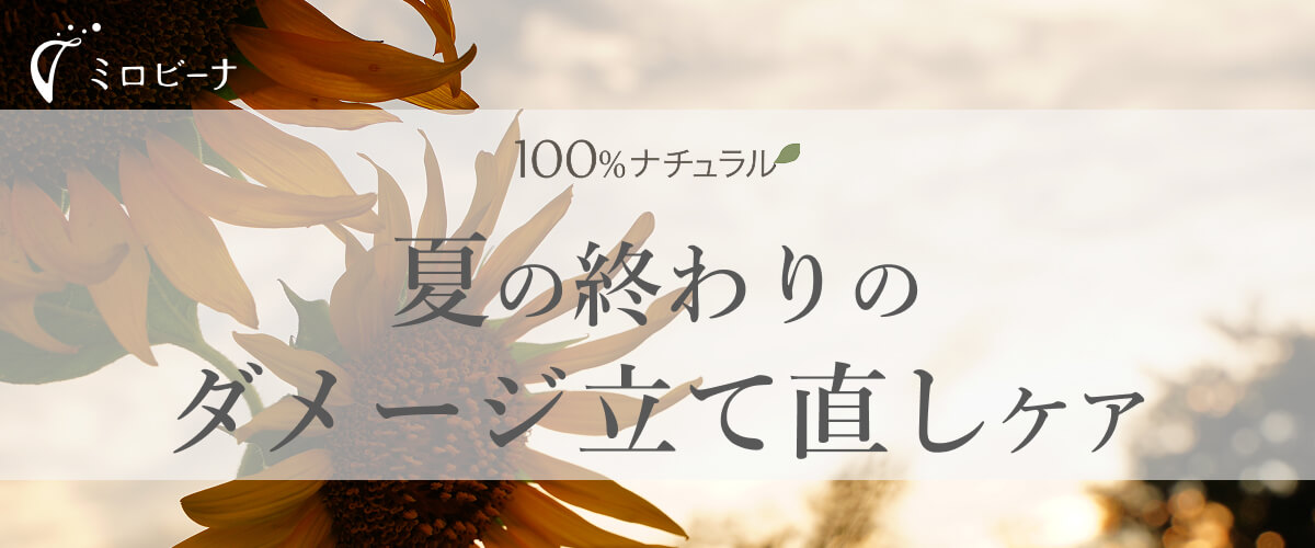 夏の終わりのケア