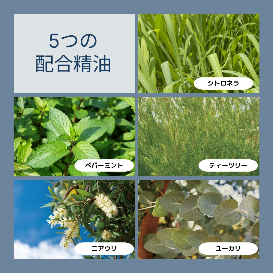 5つの精油