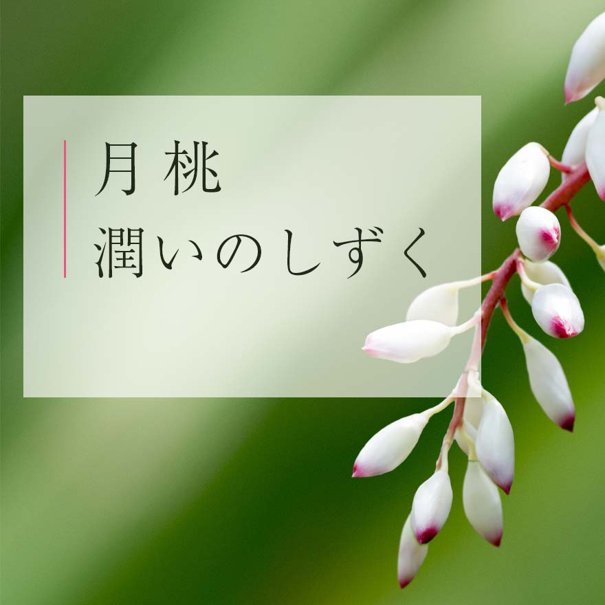 その他のサイズ