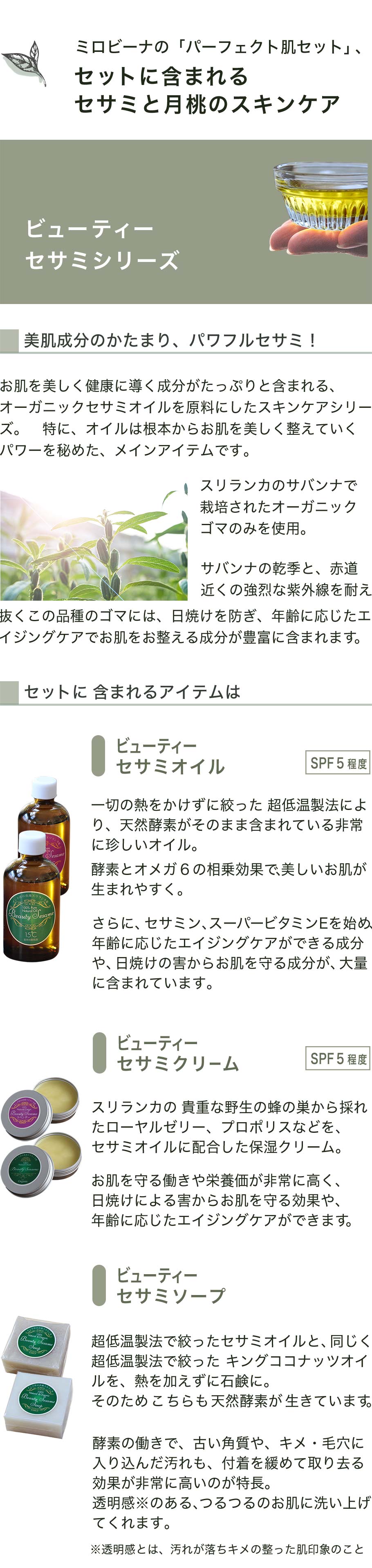 セサミシリーズ