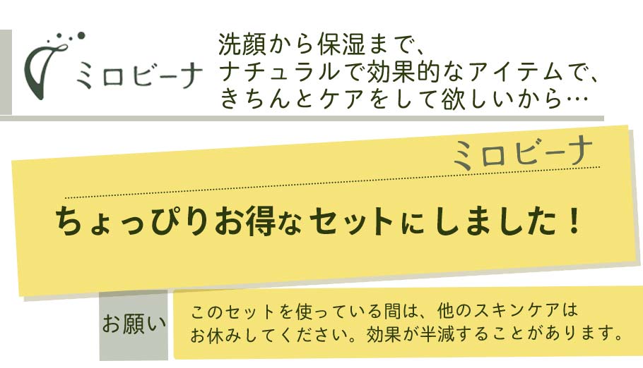 お得なセットにしました