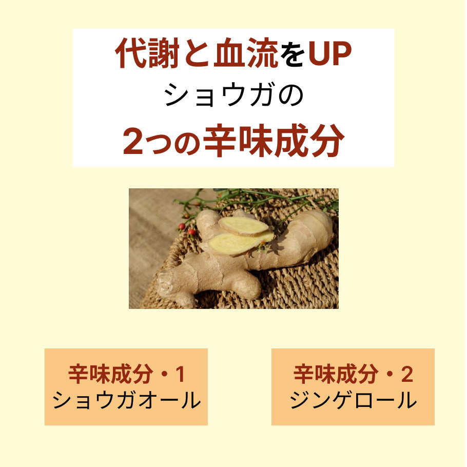 代謝と血流をUP